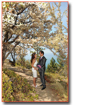 The bride and groom kiss under some beautiful trees